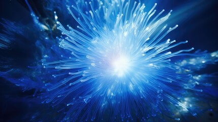 Poster - photograph blue starburst