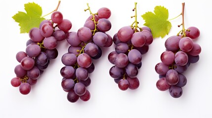 Wall Mural - clean cluster grape background