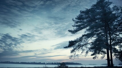 Poster - dusk silver blue background