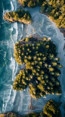 Wall Mural - Aerial Photography of Pine Trees, Beach, and Coastline