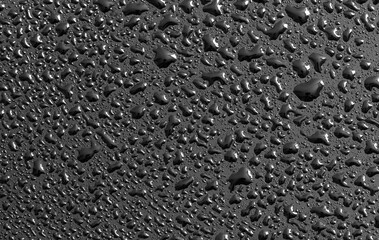 Wall Mural - Water drops on a black background. Texture