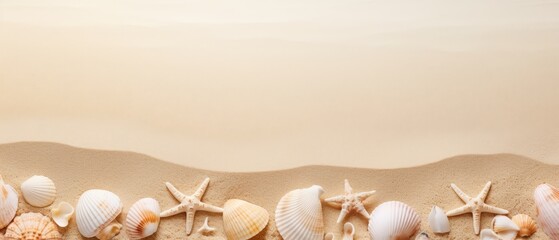 A beach scene with sand and shells. The sand is a light tan color and the shells are scattered throughout the scene. Scene is calm and peaceful, as if one were walking along the beach