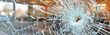 © monvideo - A close-up view of a shattered glass window in an office setting. The damage indicates vandalism