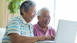 © Alena - An elderly couple joyfully manages finances together at home using a laptop, highlighting their modern approach and successful collaboration.