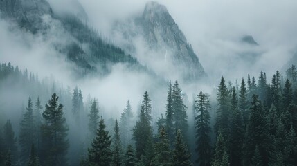 Poster - Mountain View with Fog 