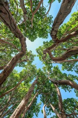 green forest