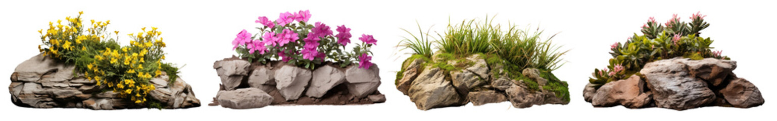 Wall Mural - Flower bed rock png element set on transparent background