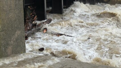 River Donau near peak level, during flood in bavaria, barrage bergheim near ingolstadt release some pressure