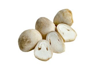 Sticker - Straw mushroom isolated