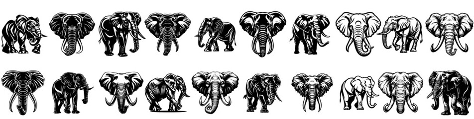 Wall Mural - Black and white silhouettes of elephant 