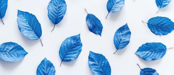 Wall Mural - blue leaves on white background