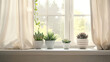 © Camalia MN - Three succulents in a pot located on the living room window