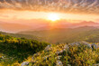 © Yaroslav - highland mountain landscape of beautiful sunset or sunrise with nice mountain peaks and slopes, green and golden hills and majestic cloudy sky on background