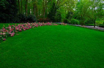 Sticker - Garden with blooming spring flowers