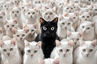 © ADDICTIVE STOCK - Black cat leader. Generative AI