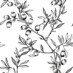 Wall Mural - An elegant line drawing of a sea buckthorn, with its small, oval-shaped berries clustered along a thin branch, captured with fine lines to show the texture and details. Minimal pattern banner