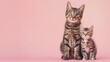 © Emiliia - A tabby cat and her kitten sit side by side on a pink background, looking directly at the camera.