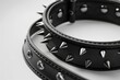 © Ева Поликарпова - A close-up view of a collar featuring sharp spikes