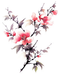 Wall Mural - PNG Rosa chinensis blossom flower plant.