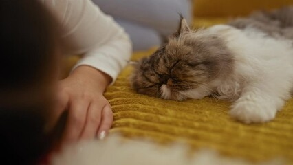 Poster - A woman and a cat are lying on a bed in a cozy bedroom, capturing a peaceful moment at home.