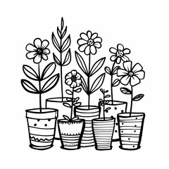 Wall Mural - vector plants flowers in pots with black lines .Generative AI