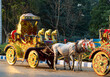 © robertharding - Horse drawn carriages and Maidan, Kolkata, West Bengal, India
