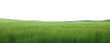 © Rawpixel.com - PNG  A grassy field with clear blue sky backgrounds outdoors horizon. AI generated Image by rawpixel.