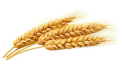 Wall Mural - PNG Wheat food agriculture triticale. AI generated Image by rawpixel.