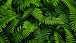 © Lakkhana - Abstract background of overlapping fern leaves, showcasing rich green textures and patterns