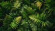 © Lakkhana - Abstract background of overlapping fern leaves, showcasing rich green textures and patterns