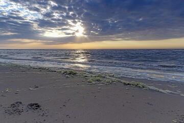 Wall Mural - Panoramic picture over the beach of Ouddorp in Holland in the evening during sunset