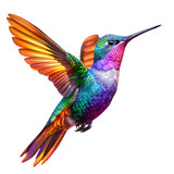 colorful hummingbird isolated on transparent background. generative ai