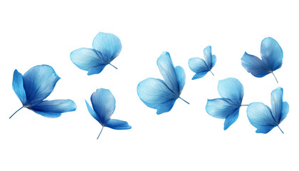 Wall Mural - flying blue petals isolated on transparent background cutout