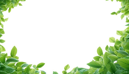Wall Mural - green leaves frame isolated on transparent background cutout