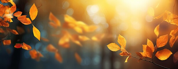 Wall Mural - Autumn background with leaves, sunlight in background