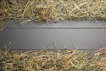 Canvas Print - Frame made of dried hay on grey wooden table, top view. Space for text