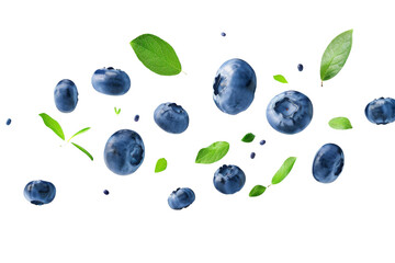 Flying swirl wave of Blueberries with green leaves in the air isolated on background, popular season berries fruit.