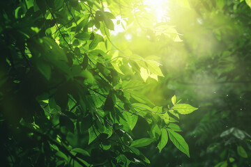 Wall Mural - A lush green forest with sunlight shining through the leaves