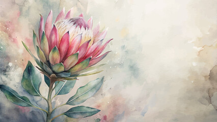 Wall Mural - Vintage protea flower watercolor background