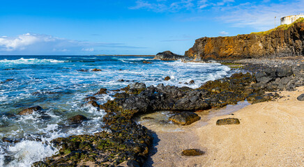 Wall Mural - Waves Washing Exposed Lava Reef Below Sea Cliffs on Glass Beach, Port Allen, Kauai, Hawaii, USA