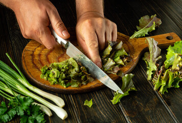 Wall Mural - Chef preparing romaine violet salad in a restaurant kitchen. Close-up of cook hands slicing romaine lettuce with knife on cutting board