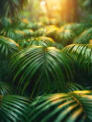 Wall Mural - summer background with tropical palm leaves and branches