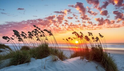Poster - sunrise at st augustine beach showing sea oats and nice colorful clouds