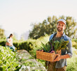© peopleimages.com - Farmer, man and basket of vegetables or produce, market and supplier for organic food. Agriculture, soil and portrait of male person in garden or farm, plantation and nutrition in countryside