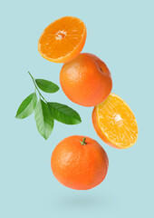 Wall Mural - Fresh ripe tangerines and green leaves in air on light blue background