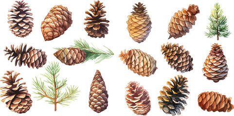 Wall Mural - pine cone clipart vector for graphic resources	
