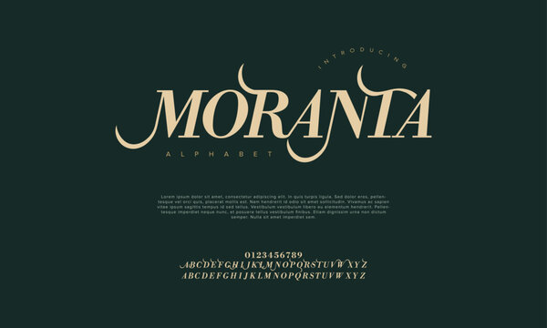 Moranta premium luxury elegant alphabet letters and numbers. Vintage wedding typography classic serif font decorative vintage retro. creative vector illustration