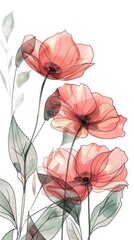 Wall Mural - watercolor illustration of three pink poppy flowers with leaves on a white background, wallpaper, card