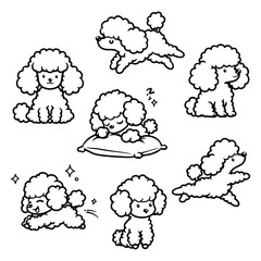 Wall Mural - set of cute poodles in various poses such as sitting, sleeping, and jumping. perfect vector line art