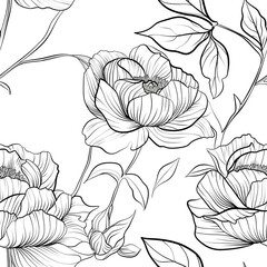 Wall Mural - A line drawing of a single peony flower, with its dense layers of petals and broad leaves, capturing the flowerâ€™s lush and opulent appearance. Minimal pattern banner wallpaper, simple background,